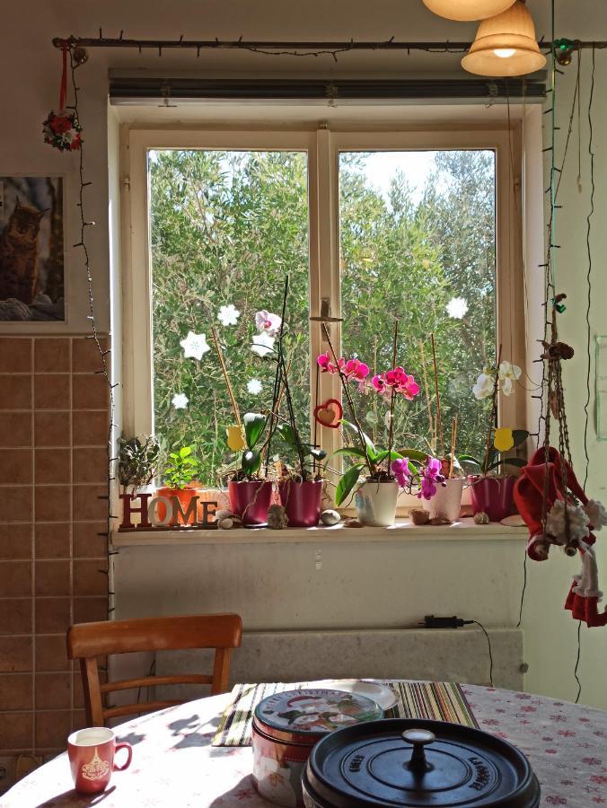 Maslinov Hlad Appartement Barbat na Rabu Buitenkant foto